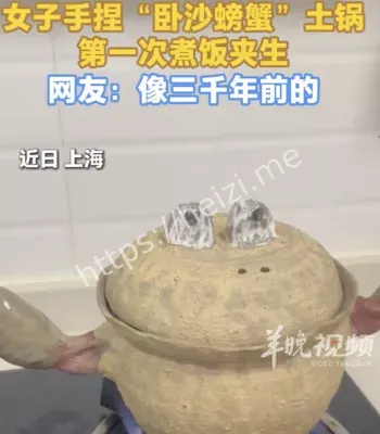 卧沙螃蟹土锅